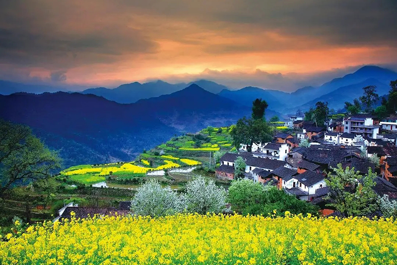 村莊走向“景區(qū)化”，已成趨勢(shì)！